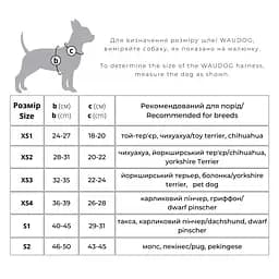 Шлея для собак м'яка Waudog Clothes, з QR паспортом, Авокадо, XS2, 28-31х20-22 см - мініатюра 4