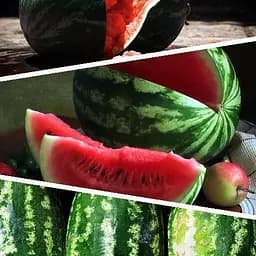 Кавун "Суміш кращих популярних сортів" ТМ "Весна"  5г (45530)