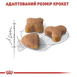 Сухий корм для котів з чутливою травною системою Royal Canin Sensible з птицею 4 кг (2521040) - мініатюра 3