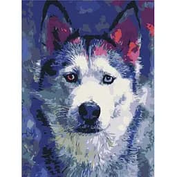 Картина за номерами Brushme Погляд Хаскі RBS51460 30x40 см