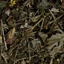 Збір трав'яний для зниження холестерину та чищення судин, 100 г, (Своє виробництво)