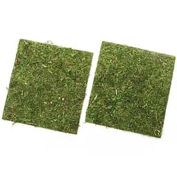 Фон з натурального моху Repti-Zoo Natural Moss Back & Bottom 20x20см 2 шт (NCM2020) для тераріуму - мініатюра 4