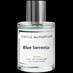 Парфюмированная вода Avenue des Parfums Blue Sorrento 50 мл