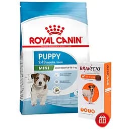 Сухий корм для цуценят дрібних порід Royal Canin Mini Puppy, з м'ясом птиці, 8 кг + Жувальна пігулка Bravecto від бліх і кліщів для собак з вагою 4.5-10 кг 1 шт.