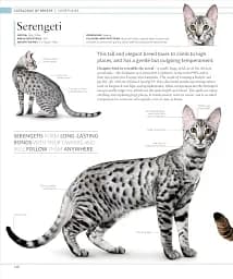 The Cat Encyclopedia - мініатюра 12