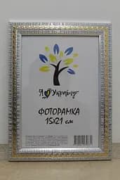 Фоторамка 15х21, срібна із золотою змійкою, 2416-120G, Скло + Картон