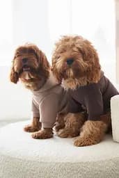 Худі для собак фісташковий S/М (довжина спинки 38-44см) - мініатюра 12
