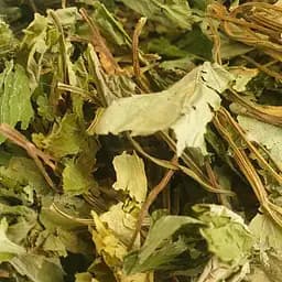 100 г сныть обыкновенная трава сушеная - свежий урожай