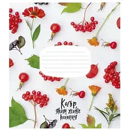 Тетрадь ученическая The colors of happiness Школярик 012-3230L-5 в линию 12 листов