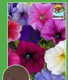 Насіння Весна Петунія Суміш забарвлень F1 0.3 г (13760)