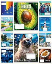 Тетради ученические 24 листа линия Твердая ТЕ42301 Микс1, 20 шт. в упаковке