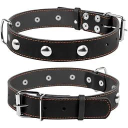 Нашийник Collar одинарний з прикрасами, 48-63х3,5 см, чорний