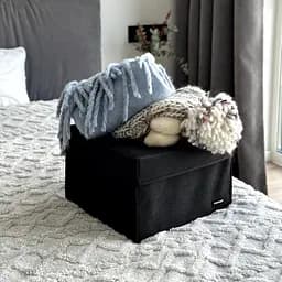 Короб для іграшок та настільних ігор L з кришкою  ORGANIZE  - 30*30*20 см (чорний) - мініатюра 4