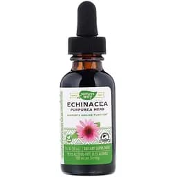 Ехінацея Nature's Way Echinacea без спирту 99.9% 30 мл