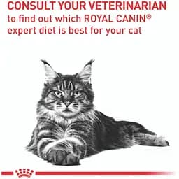 Сухий корм для котів Royal Canin Neutered Satiety Balance Cat 3.5 кг (2721035) - мініатюра 4