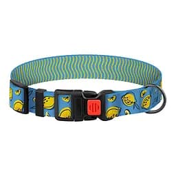 Нашийник для собак BronzeDog Urban Fruits XL - мініатюра 2