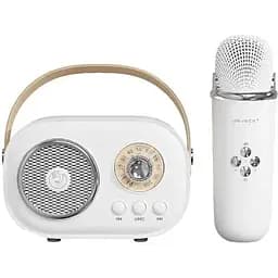 Портативная колонка C20W