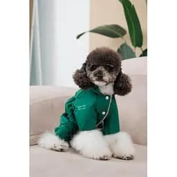 Комбінезон Pet Fashion EGO ХS2 зелений для собак - мініатюра 7