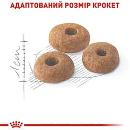 Сухий корм для домашніх та вуличних котів Royal Canin Fit м'ясо птиці та рис 0.4 кг - мініатюра 2