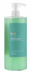 Шампунь для волосся проти лупи Kaaral K05 Dandruff And Dry Sclap Shampoo 1000 мл