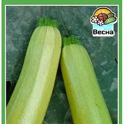 Насіння Весна Кабачок Білий лебідь 2 г (21717)