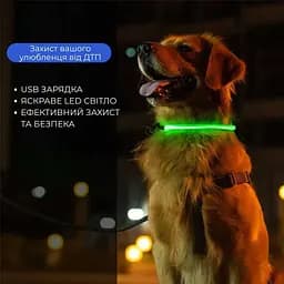 Світлодіодний LED нашийник для собак із зарядкою USB, синій - мініатюра 5