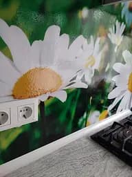 Кухонний фартух Сонячні ромашки вініловий ПВХ наклейка для кухні зелений 65х250 см Happy Pocket Z180273 - мініатюра 5