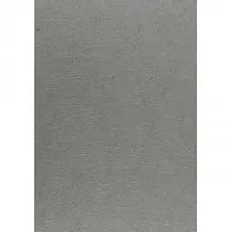 Набор фетра Santi жесткий 21 х 30 см 10 листов светло-серый (741838)