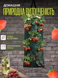 Підвісна вертикальна грядка на 10 кишень (3 шт.) - мініатюра 4