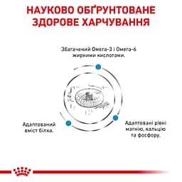 Сухий дієтичний корм Royal Canin Skin&Coat для кішок після стерилізації при дерматозі та випадінні шерсті, 400 г (1323004) - мініатюра 6