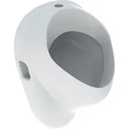 Пісуар підвісний Geberit Felix 502.885.00.1, Білий