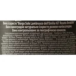 Вино ігристе Borgo Sole Lambrusco Dell`Emilia IGT Sweet Rosé, 8%, 0,75 л (AT1B003) - мініатюра 6