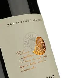 Вино Cantina Castelnuovo del Garda Merlot, 12%, 1,5 л - мініатюра 3