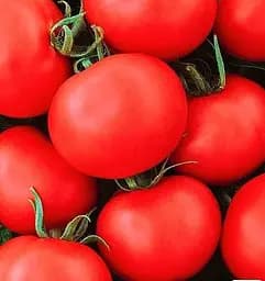 Насіння Весна на вагу Томат Таміна ціна за 1 г (178428)