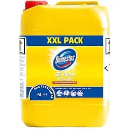 Дезінфікуючий засіб Domestos Professional Цитрус 5 л