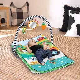 Розвиваючий килимок Baby Einstein 4 в 1 Busy Barnyard (17327) - мініатюра 3