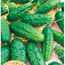 Насіння Весна Огірок Малюк Зіпер 1.5 г (11894)