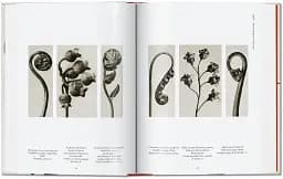 Karl Blossfeldt. The Complete Published Work. 40th Edition - мініатюра 4