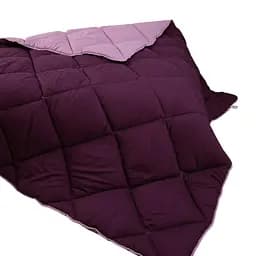 Одеяло ТЕП Alaska 150x205 см бордовый комбинированный (1-00150_27802)