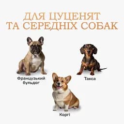 Туалет лоток для собак під пелюшку 60х90 ПУХНАСТЕ ЩАСТЯ бежевий - мініатюра 11