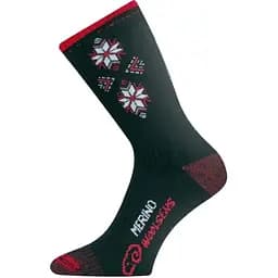 Носки Lasting SCK M Черный