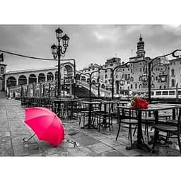 Алмазна вишивка Алмазна мозаїка 40 * 50 см на підрамніку После дощу з прінтованою рамою