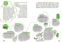 15 запитань : Сьогодні вже вчора? Книжка, яка пояснює все про історію - мініатюра 5