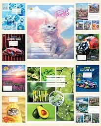 Тетради ученические 24 листа линия Твердая ТЕ42303 Микс3, 20 шт. в упаковке