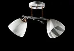 Люстра стельова Splendid Ray L6541A/2, 2xE27, 25 см, білий + золотий, метал + скло, сучасний стиль для дому