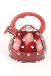 Якісний металевий чайник зі свистком з нержавіючої сталі для газової плити А-Плюс чайник нержавійка