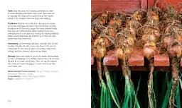 200 Veg-Growing Basics - мініатюра 3