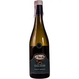 Вино Collavini Villa Canlungo Pinot Grigio DOC Collio, белое, сухое, 0,75 л