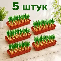 Набір з 5 пластикових лотків для вирощування зеленої цибулі та розсади зі знімною вставкою луковичниця Зелений 88417 - мініатюра 1