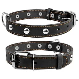 Ошейник "CoLLaR" одинарный с украшениями (ширина 20мм длина 32-40см) черный